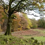Ellie's * Ulverston