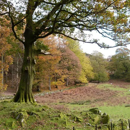 Ellie's * Ulverston